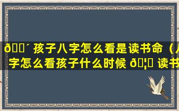 🌴 孩子八字怎么看是读书命（八字怎么看孩子什么时候 🦁 读书好）